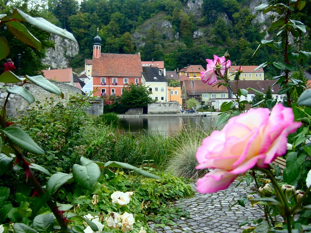 roses-and-river