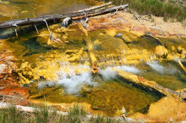 Sulfur stream from Imperial Geyser (1)